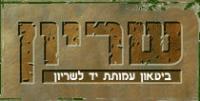 12 גיבורי ישראל לא היו לבדם