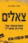 צאלים, עמיר אסנהיים, כנרת זמורה ביתן, 2012, 328 עמודים