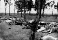 רצח העם הארמני, מקור: ויקיפדיה
