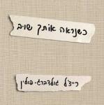 כשנראה אותך שוב, רייצ'ל גולדברג – פולין, כנרת, 2026, 236 עמודים